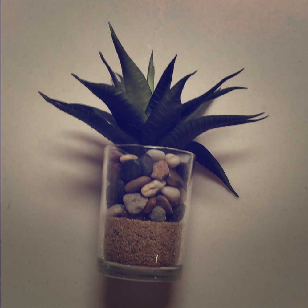 Meet your Posher, Elise